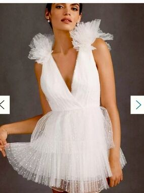ML Monique Lhuillier Perrie Dress Size 10 Shoulder ruffles removed